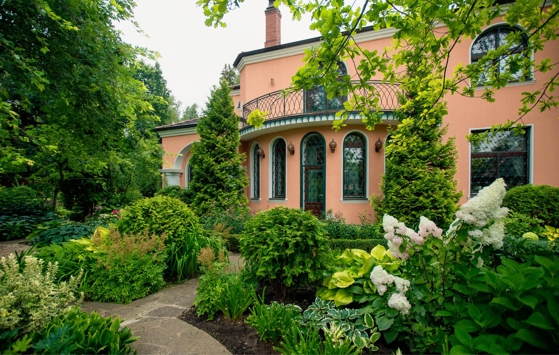 Проект Баковка