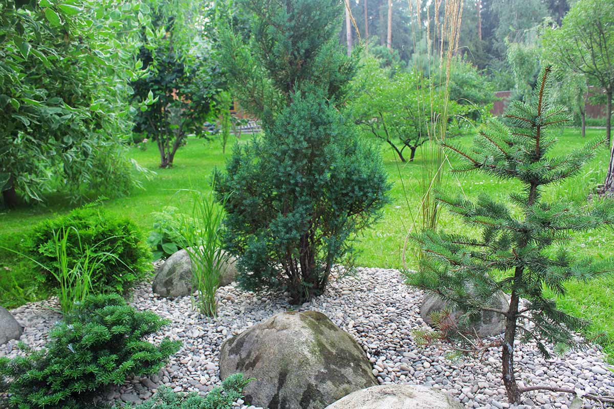 Проект Переделкино